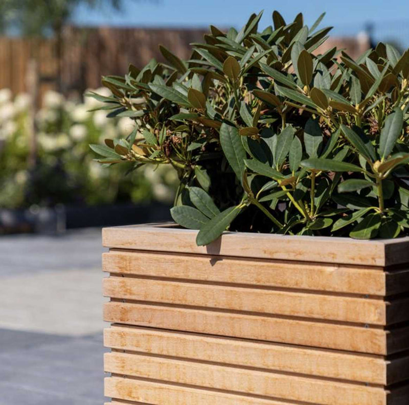 Adezz Harwood Planter Malga Contemporary Planters