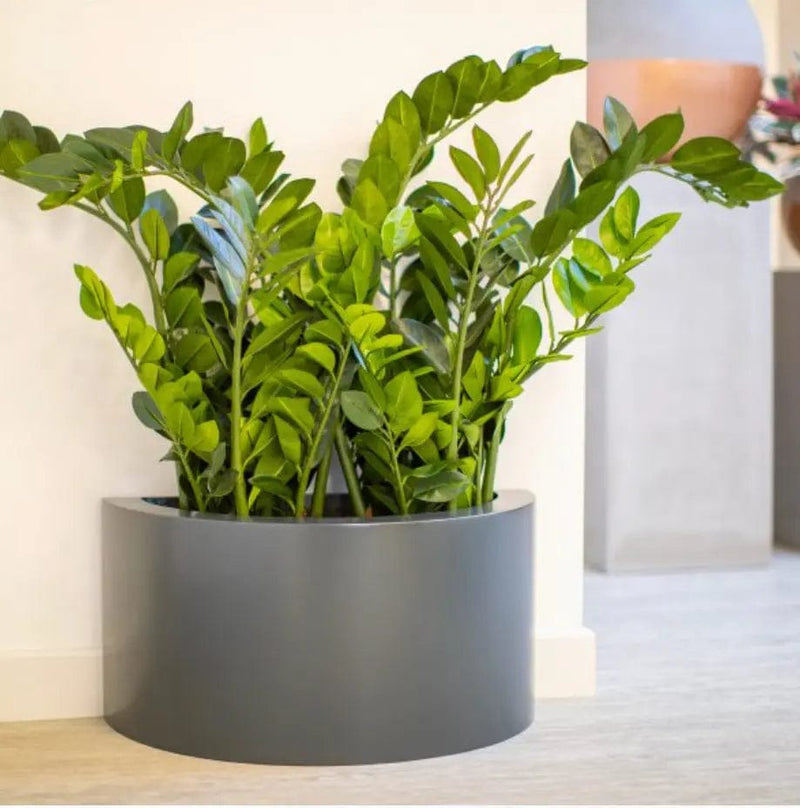 Half Cylinder Planter Contemporary Planters